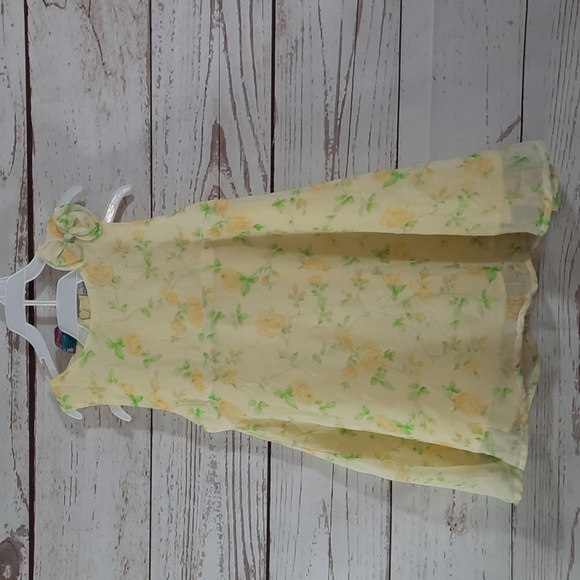 Little Lindsay Sheer Dress - Picture 1 of 8